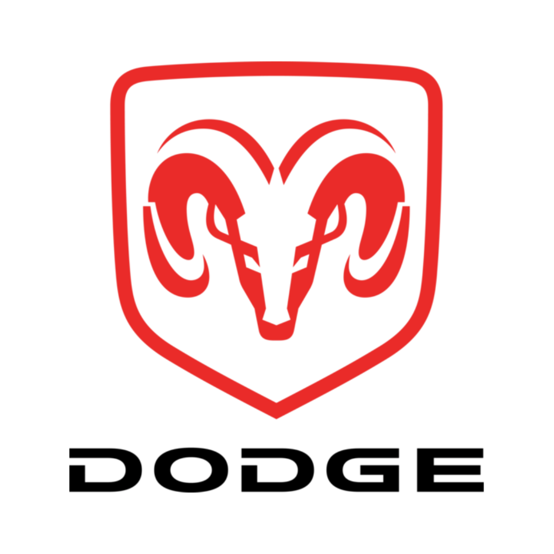 Dodge-Car Rug Floor Mats