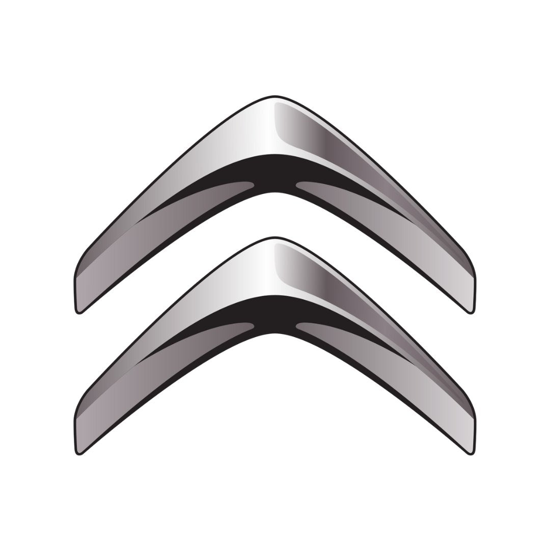 Citroen-Car Rug Floor Mats