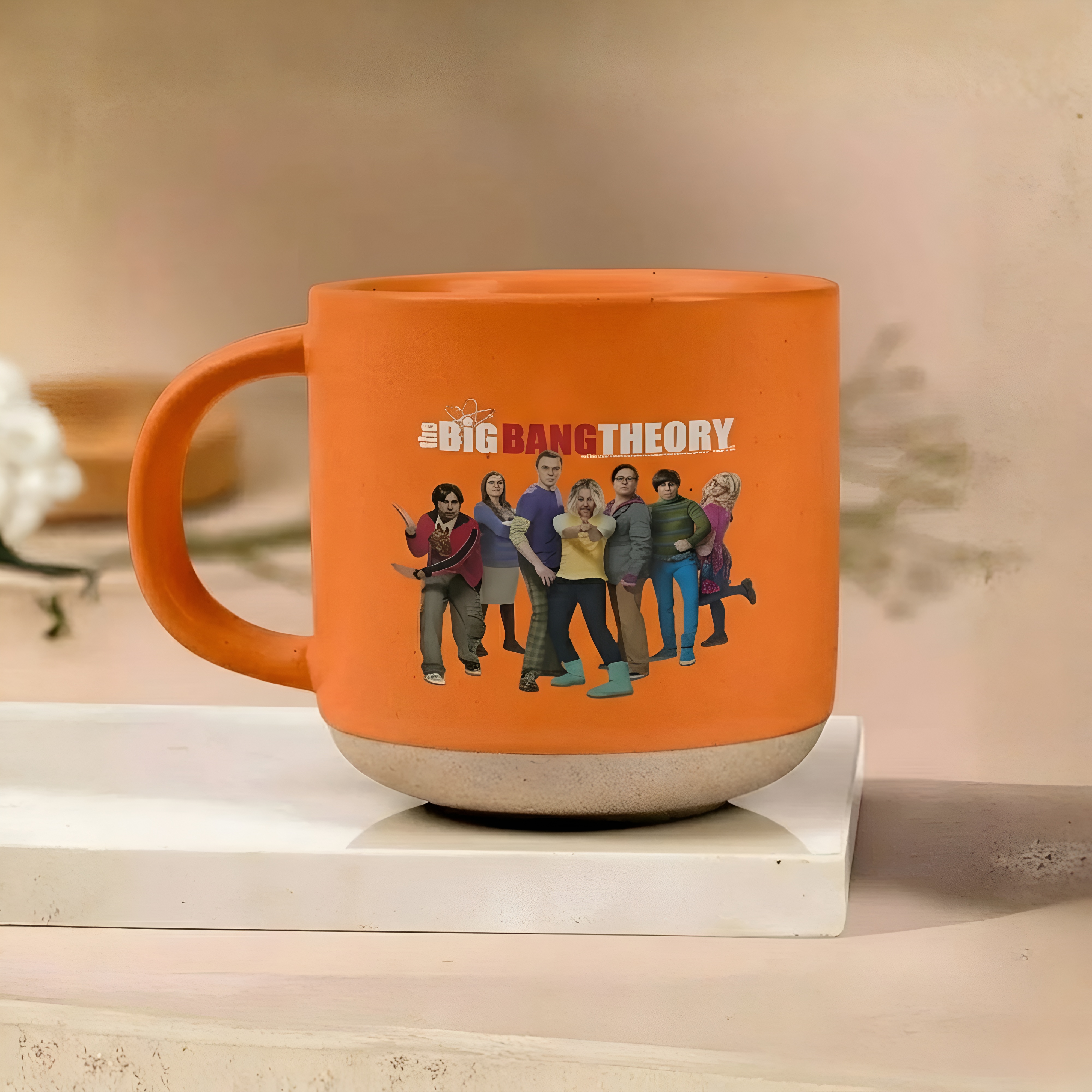 Big Bang Theory Iconic Ensemble Matte Stoneware Mug