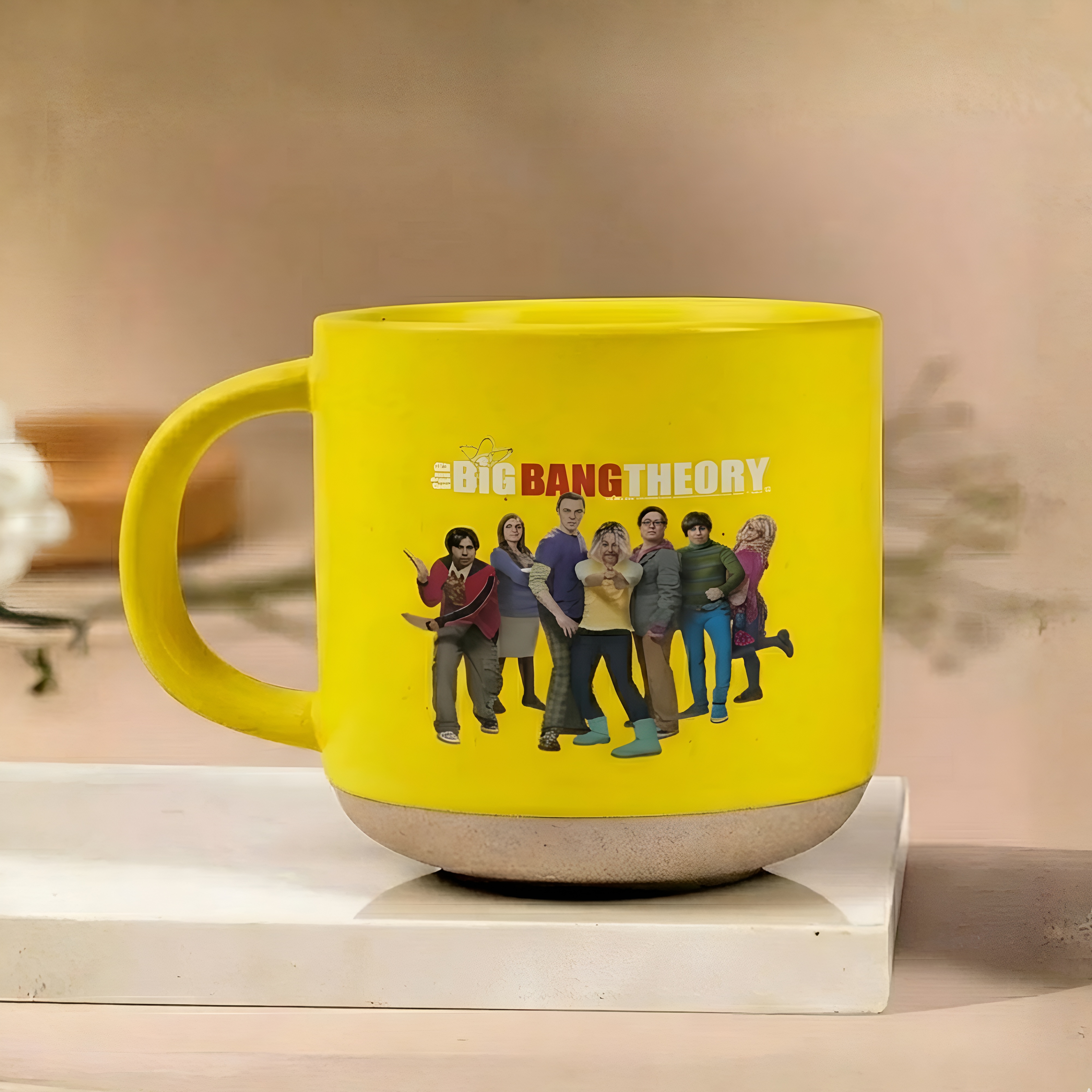 Big Bang Theory Iconic Ensemble Matte Stoneware Mug