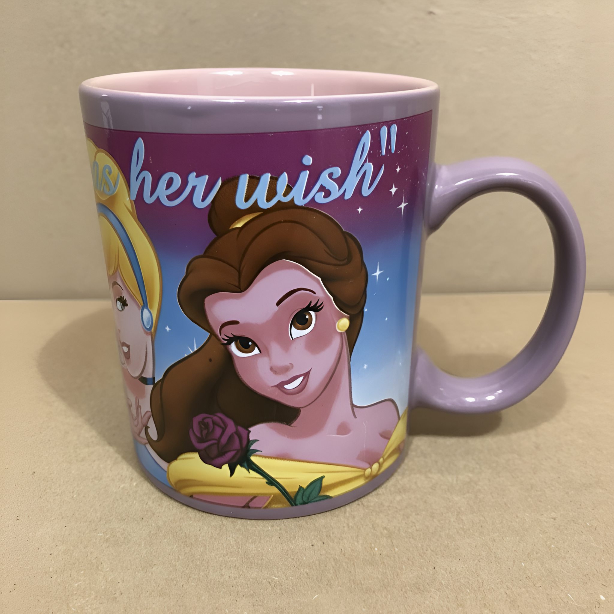 Every Princess Has Her Wish Mug