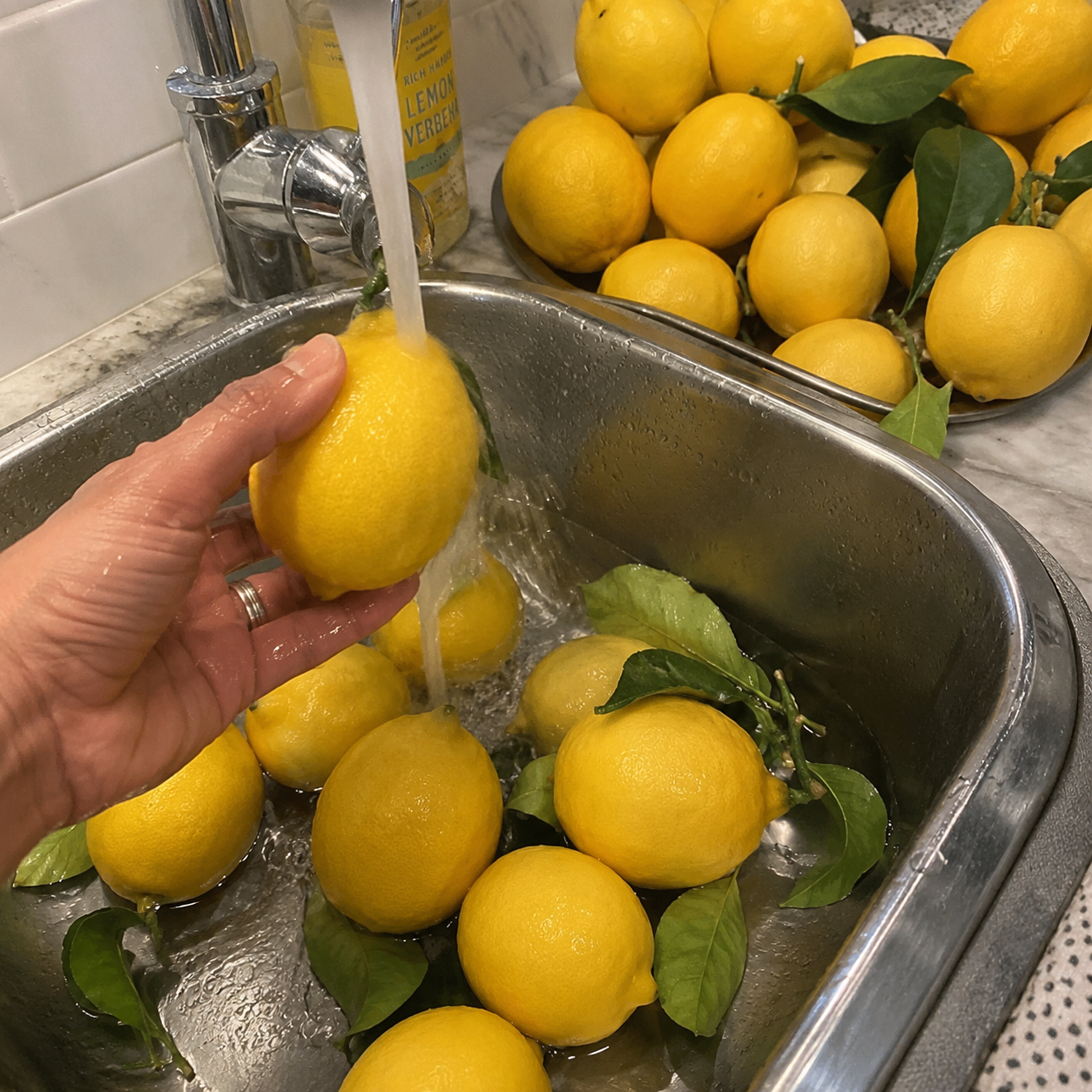 30 Pieces Meyer Lemon Tree Seeds For Planting  