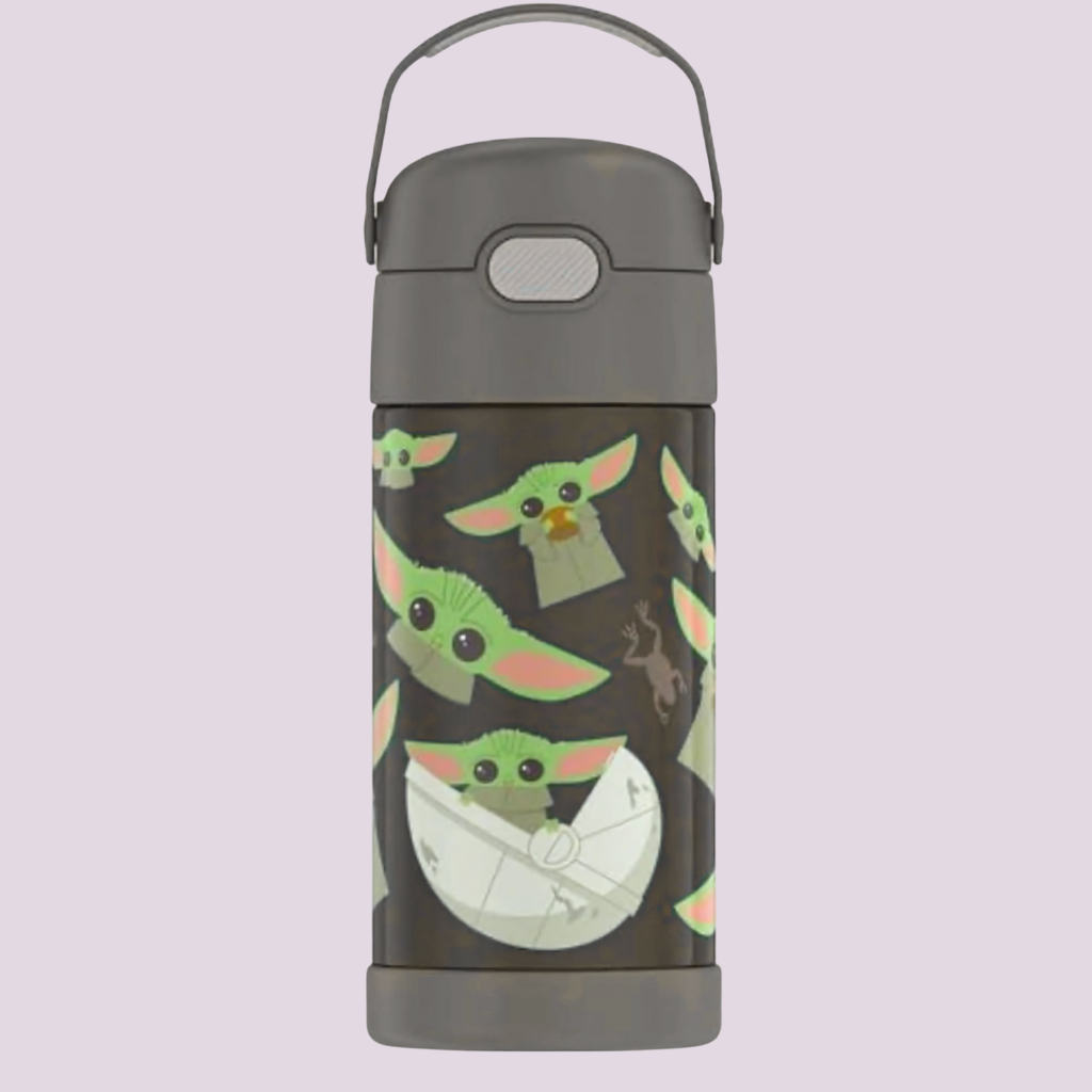Kids Stainless Steel Vacuum Insulated Water Bottle with Straw