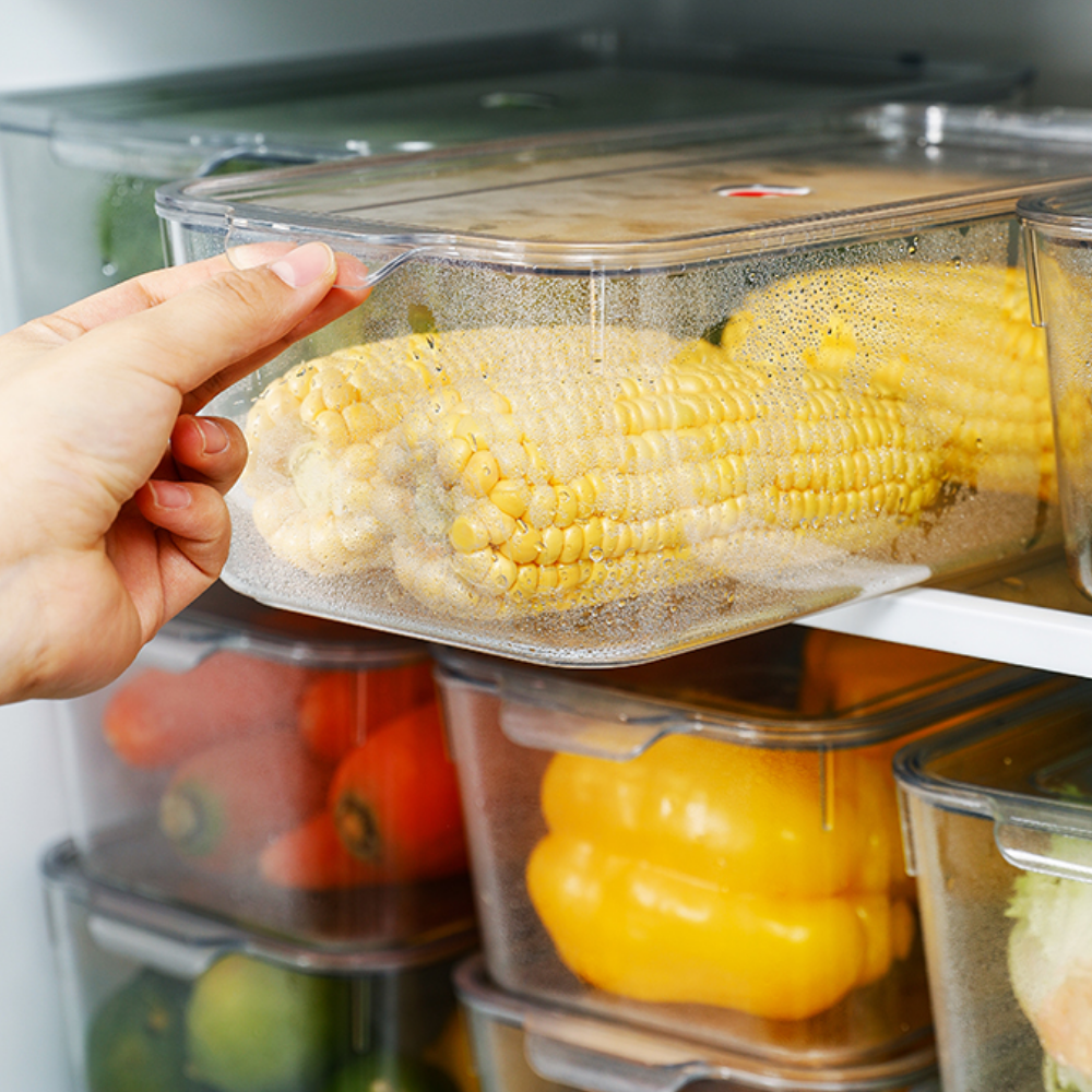 Transparent Glass Containers - Grafton Collection
