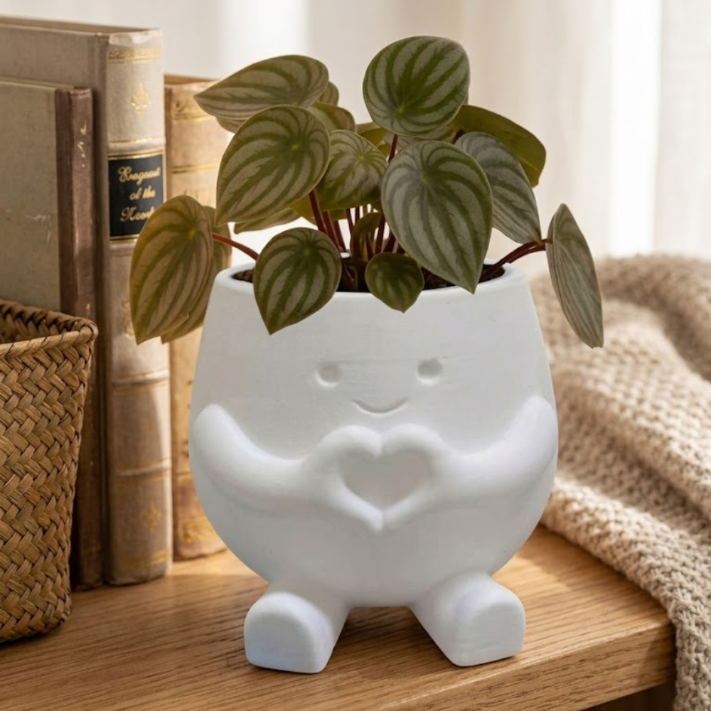 Mini Succulent Planter For Office Desk And Home Decor