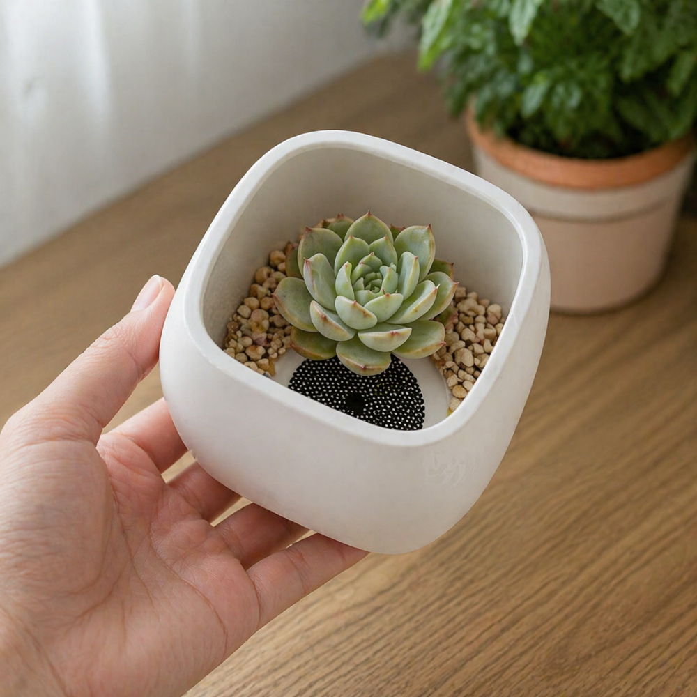 50 Piece Round Flower Pot Hole Mesh Pad To Prevent Soil Loss