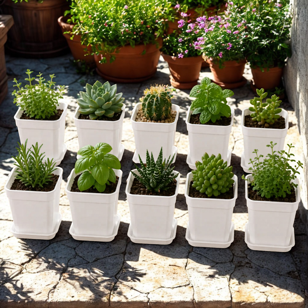Mini Square Plant Pots With Trays 20 Piece Set For Succulents And Herbs