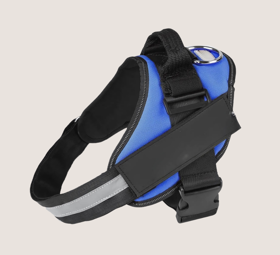 Personalised No Pull Dog Harness