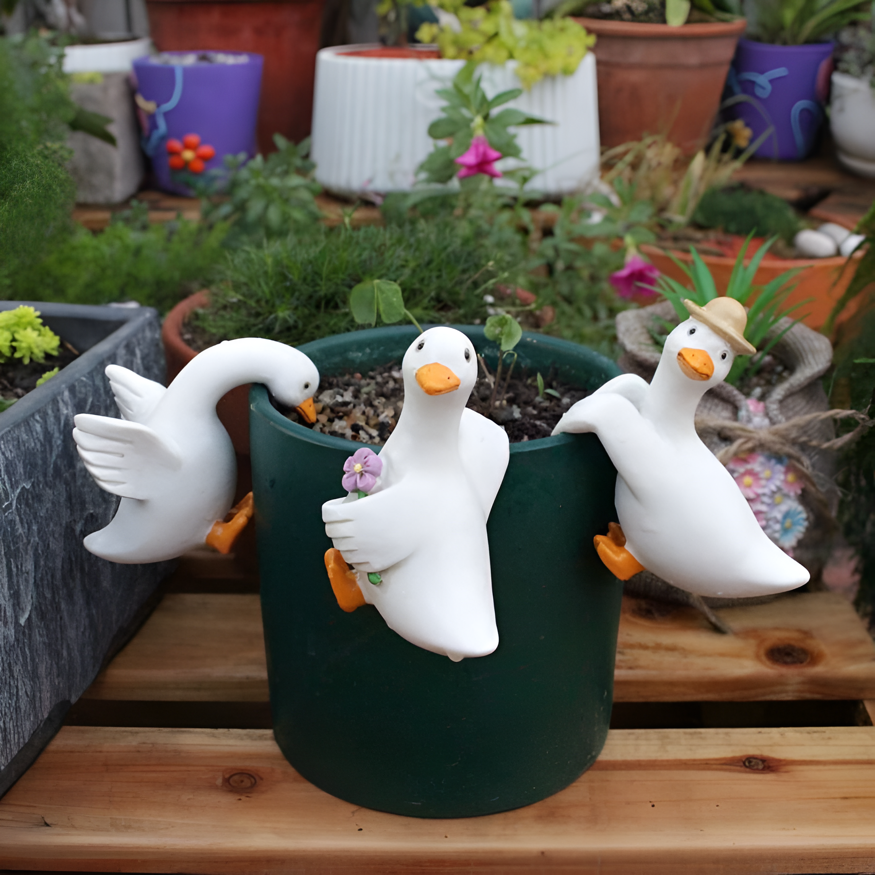 Cute Climbing Duck Flower Pot Pendant 3 Pieces Set