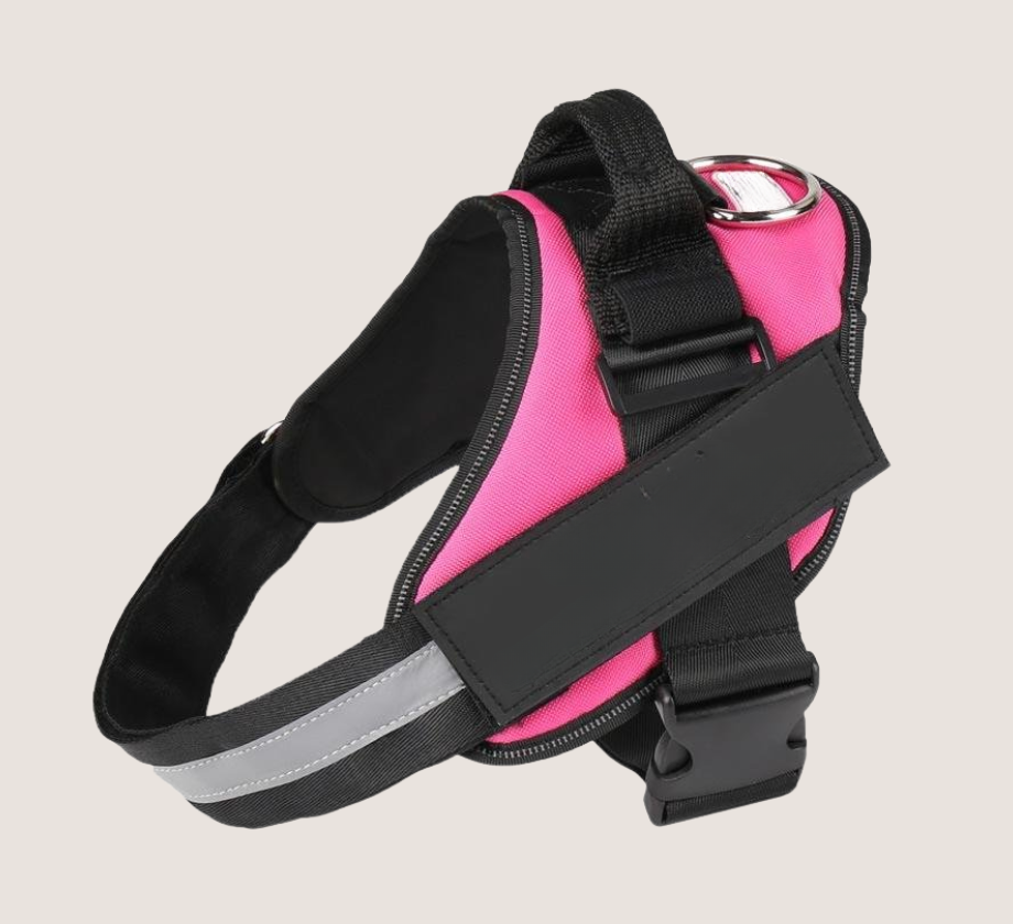 Personalised No Pull Dog Harness