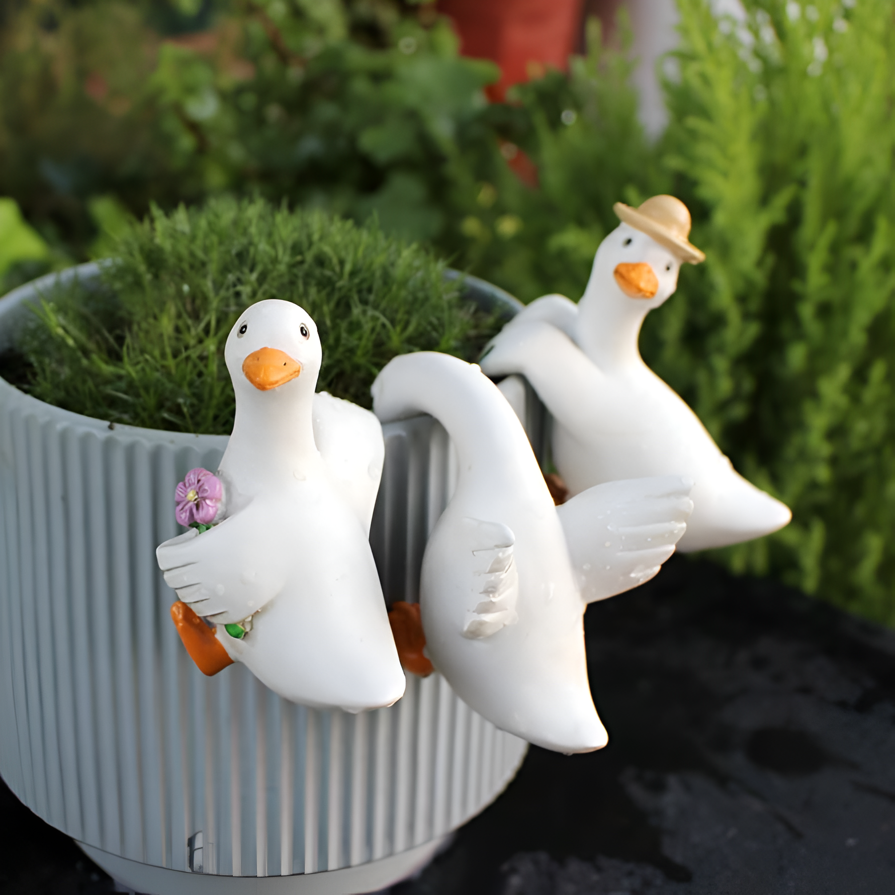 Cute Climbing Duck Flower Pot Pendant 3 Pieces Set