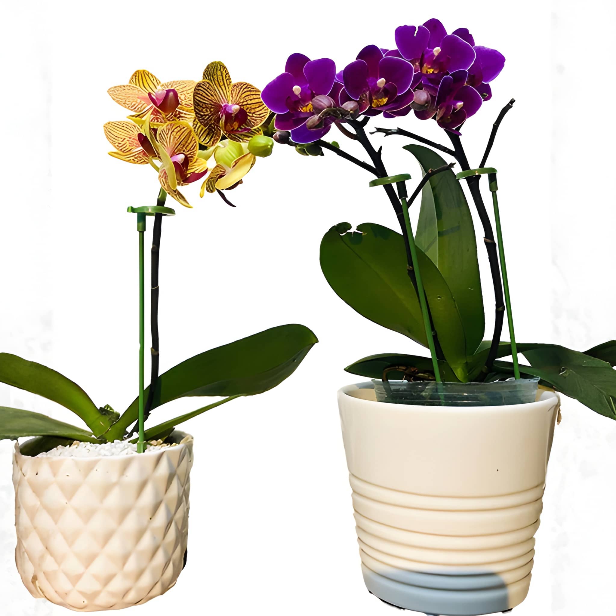 10 Piece Green Plant Support Stakes For Flower Pot Holders