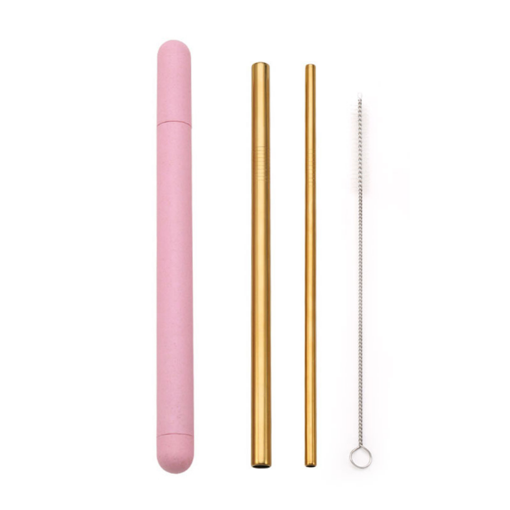 Metal Straws + Case - Grafton Collection