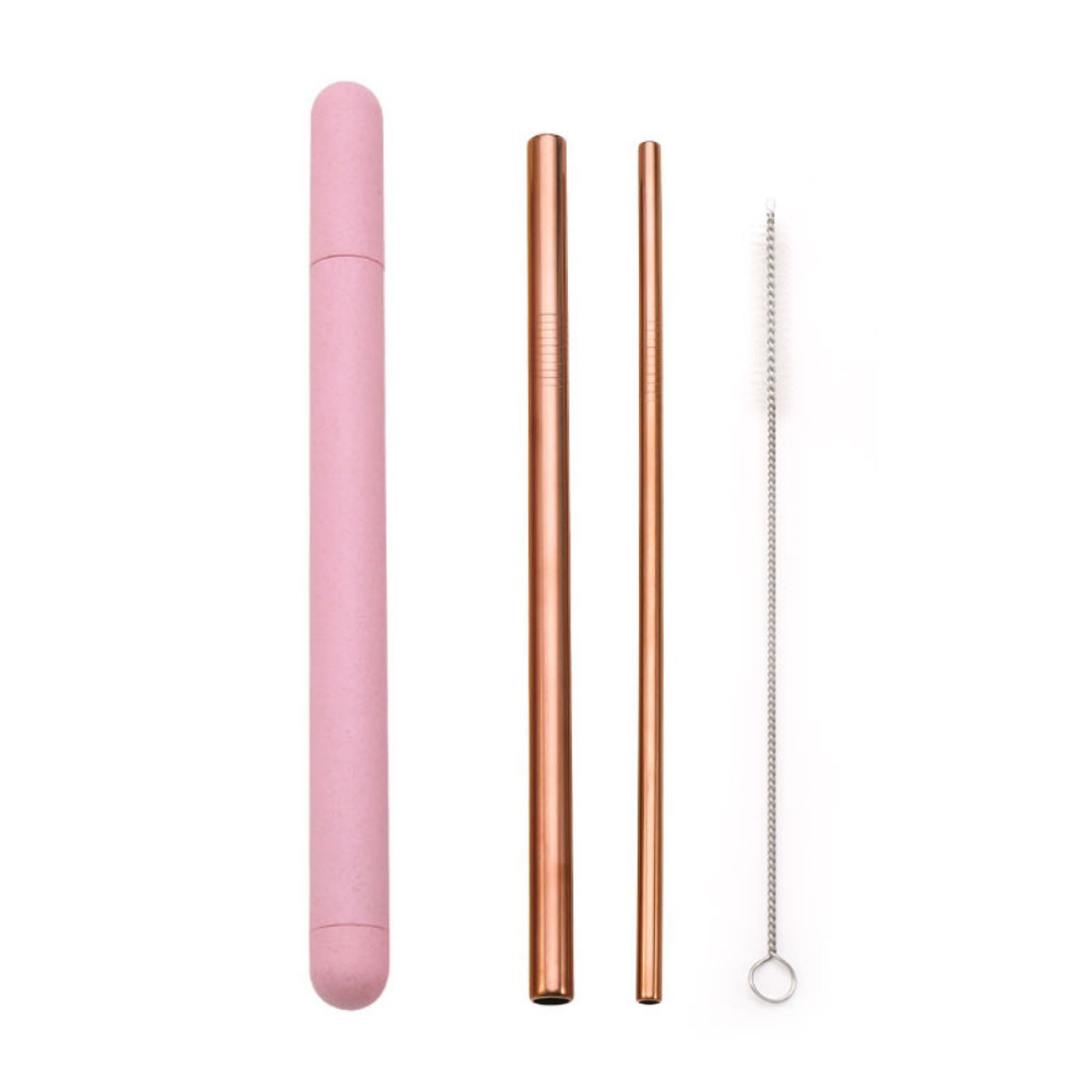 Metal Straws + Case - Grafton Collection