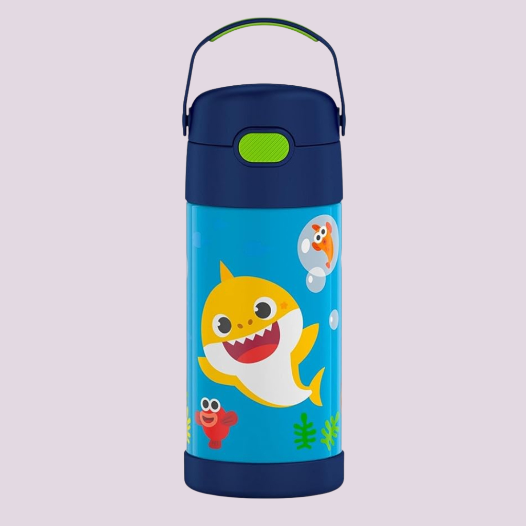 Kids Stainless Steel Vacuum Insulated Water Bottle with Straw