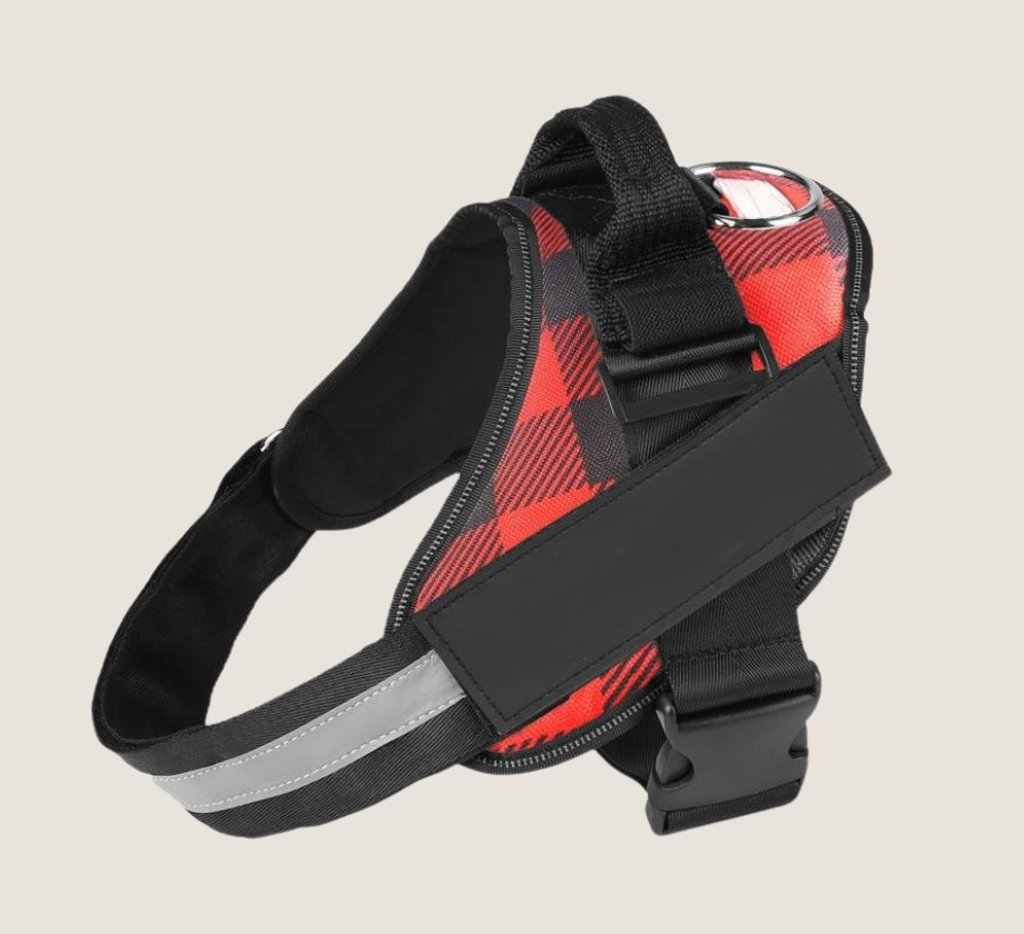 Personalised No Pull Dog Harness