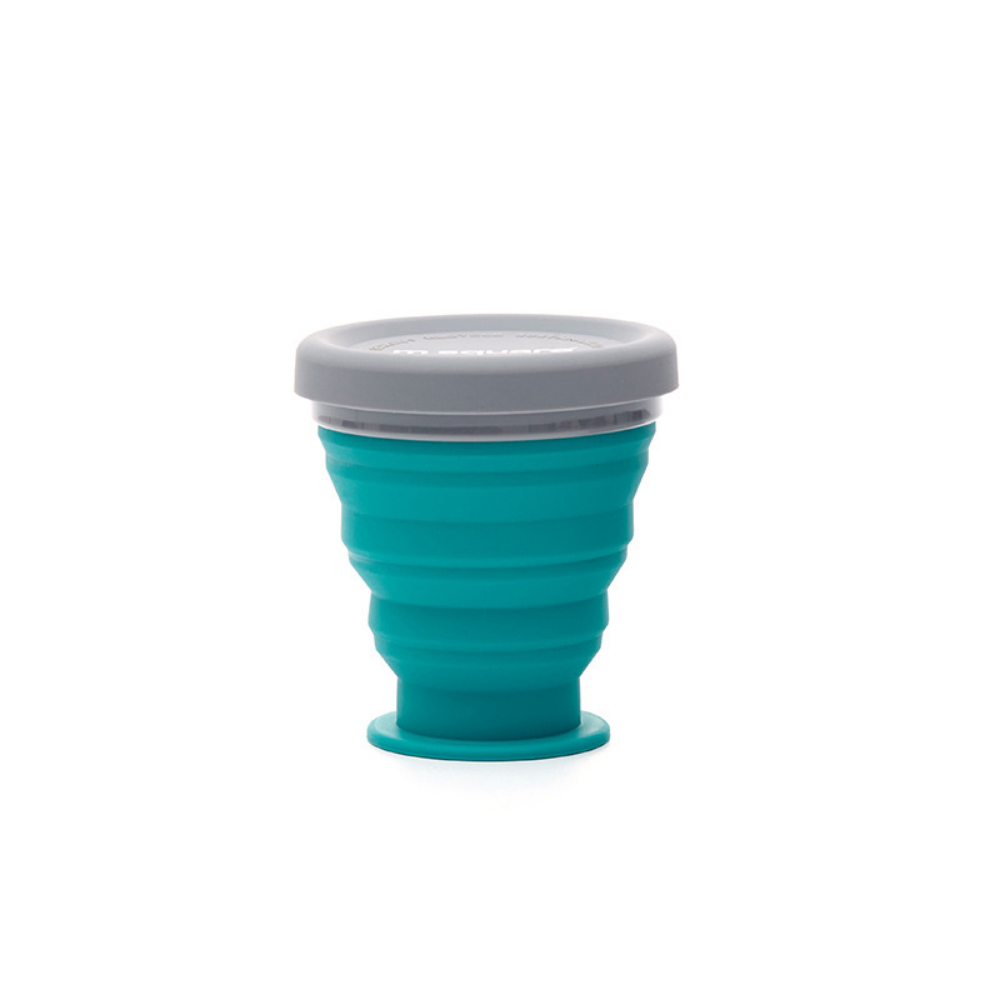 Foldable Bowls - Grafton Collection
