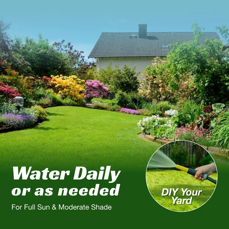 High Germination Grass Seeds For Lawns