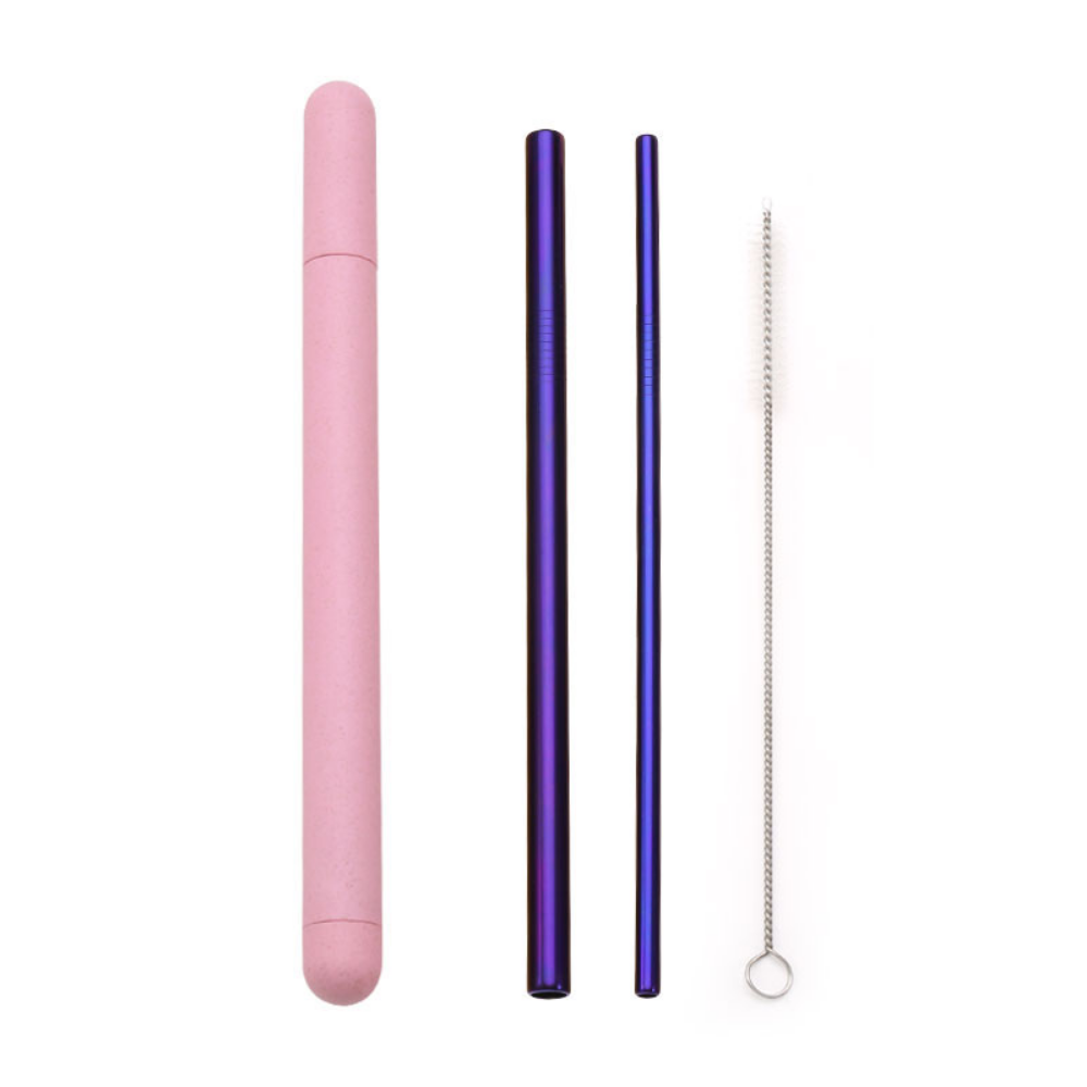 Metal Straws + Case - Grafton Collection