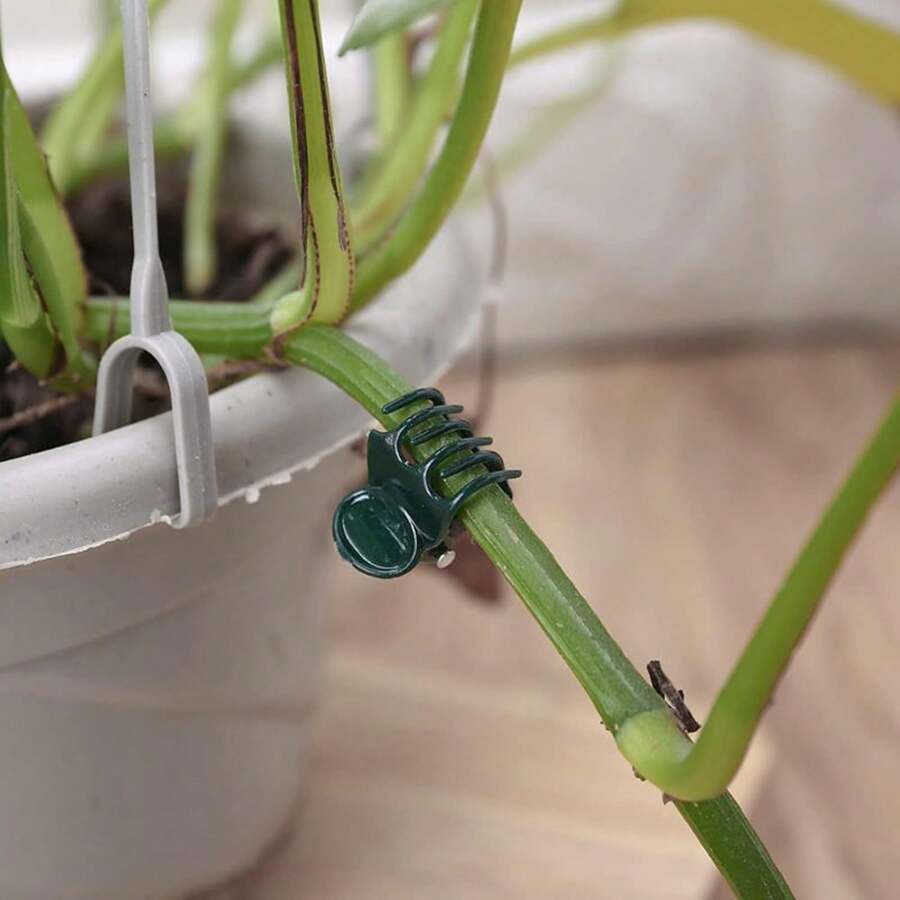 Plastic Plant Support Clips