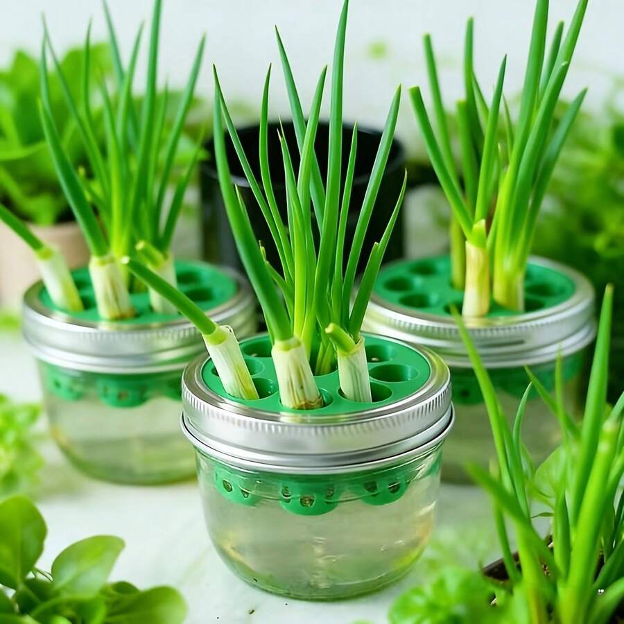 Hydroponic Plant Cultivation 3d Printed Mold For Home Gardening Diy