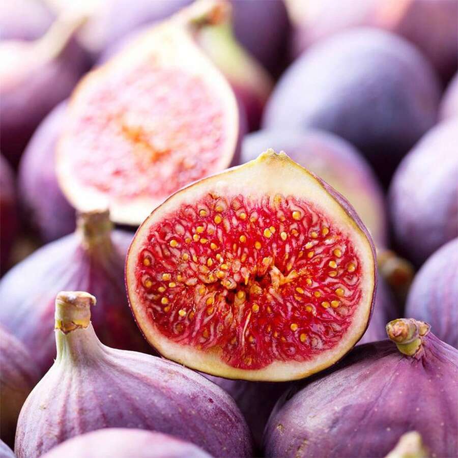 50 Pieces Sweet Fig Fruit Seeds For Planting 