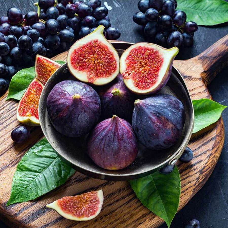 50 Pieces Sweet Fig Fruit Seeds For Planting 