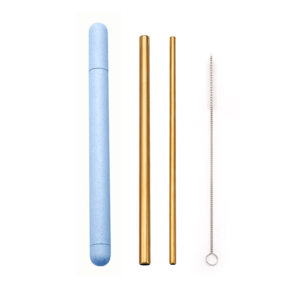 Metal Straws + Case - Grafton Collection