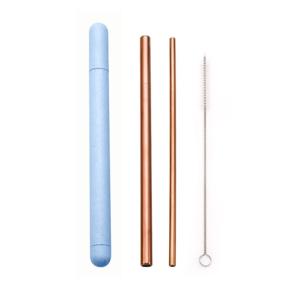 Metal Straws + Case - Grafton Collection