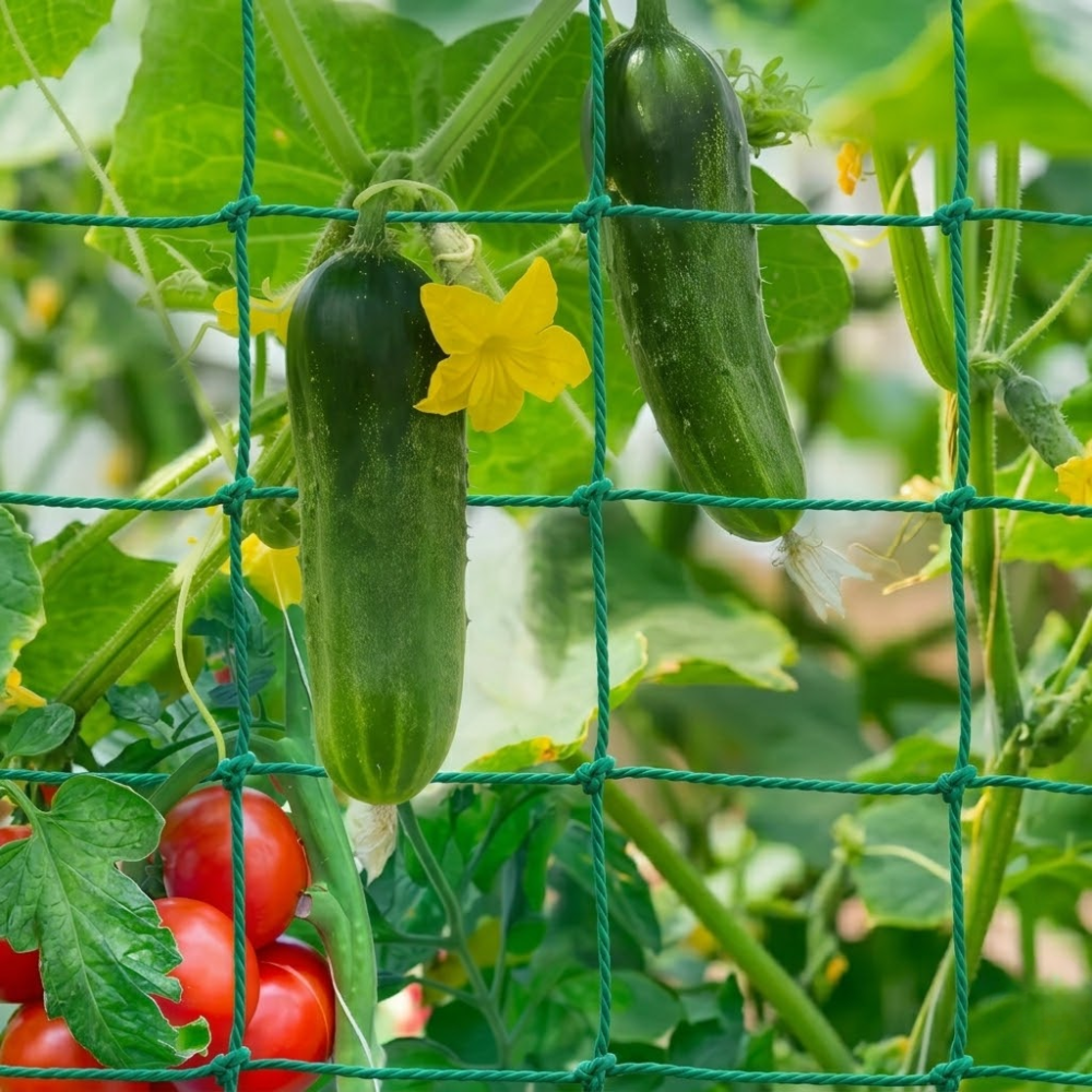 Plant Climbing Net For Loofah Morning Glory Flowers Vine Plants