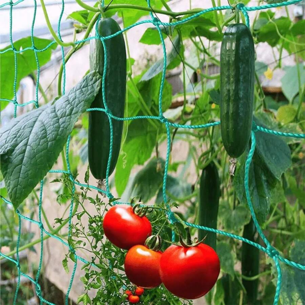 Square Grid Plant Climbing Net For Cucumber Growing In Garden