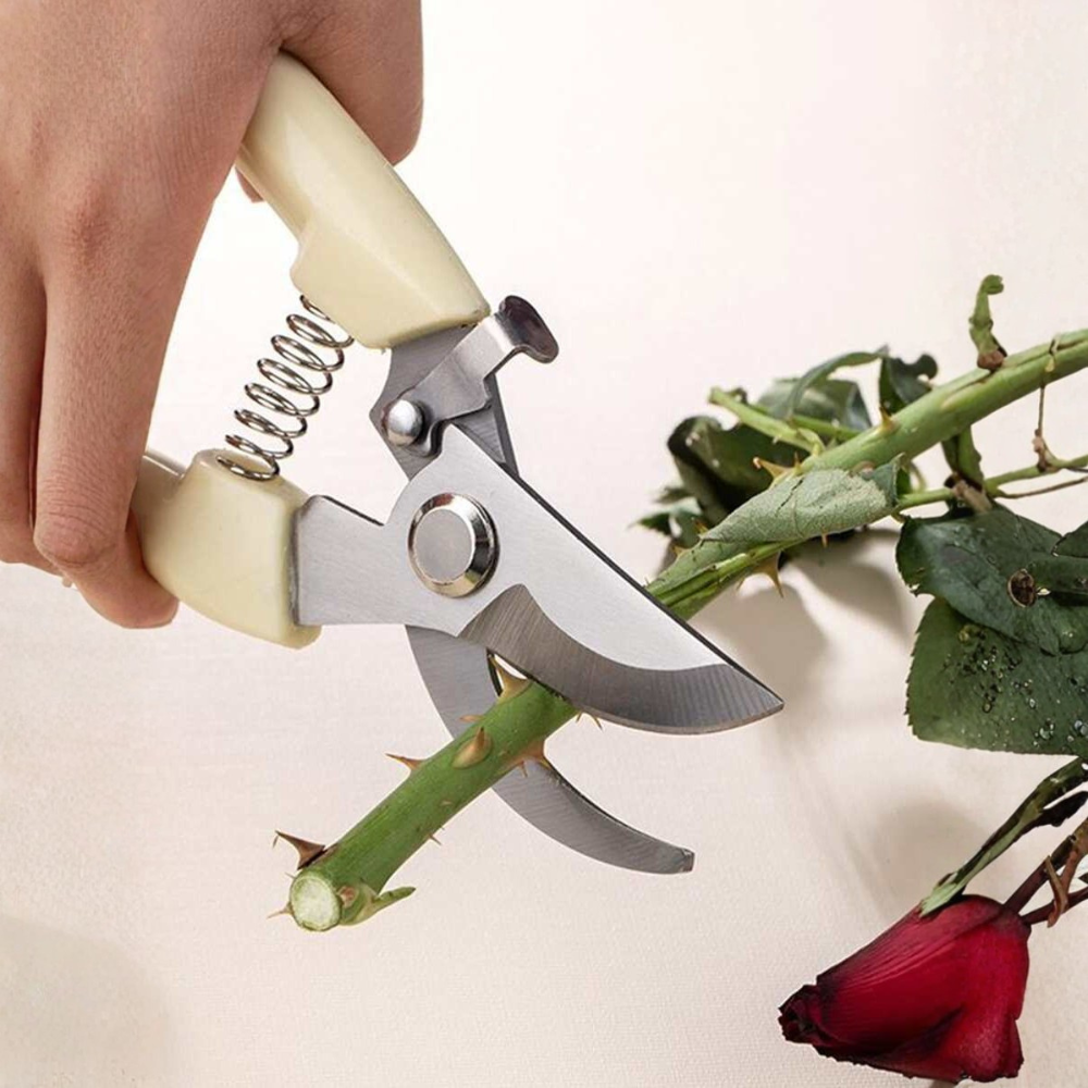 Minimalist Stainless Steel Gardening Pruning Shears For Plant Branches