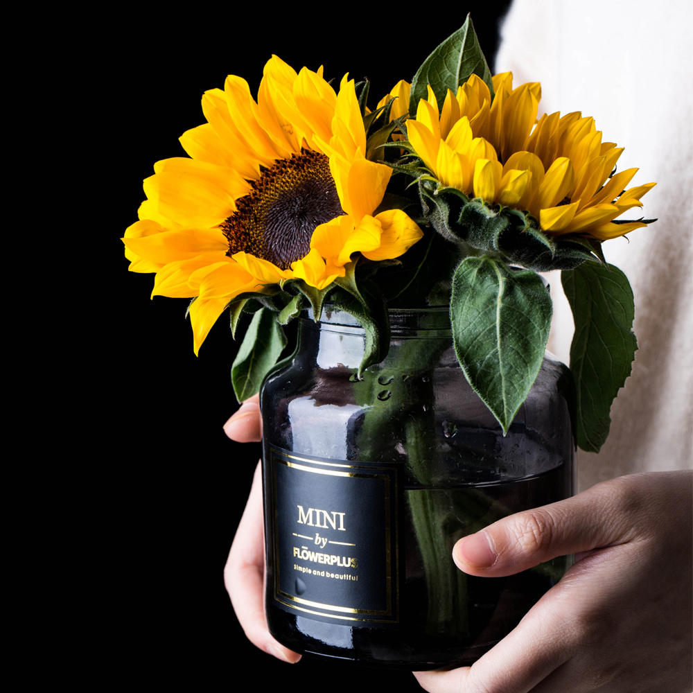 Candle Glass Vases - Grafton Collection