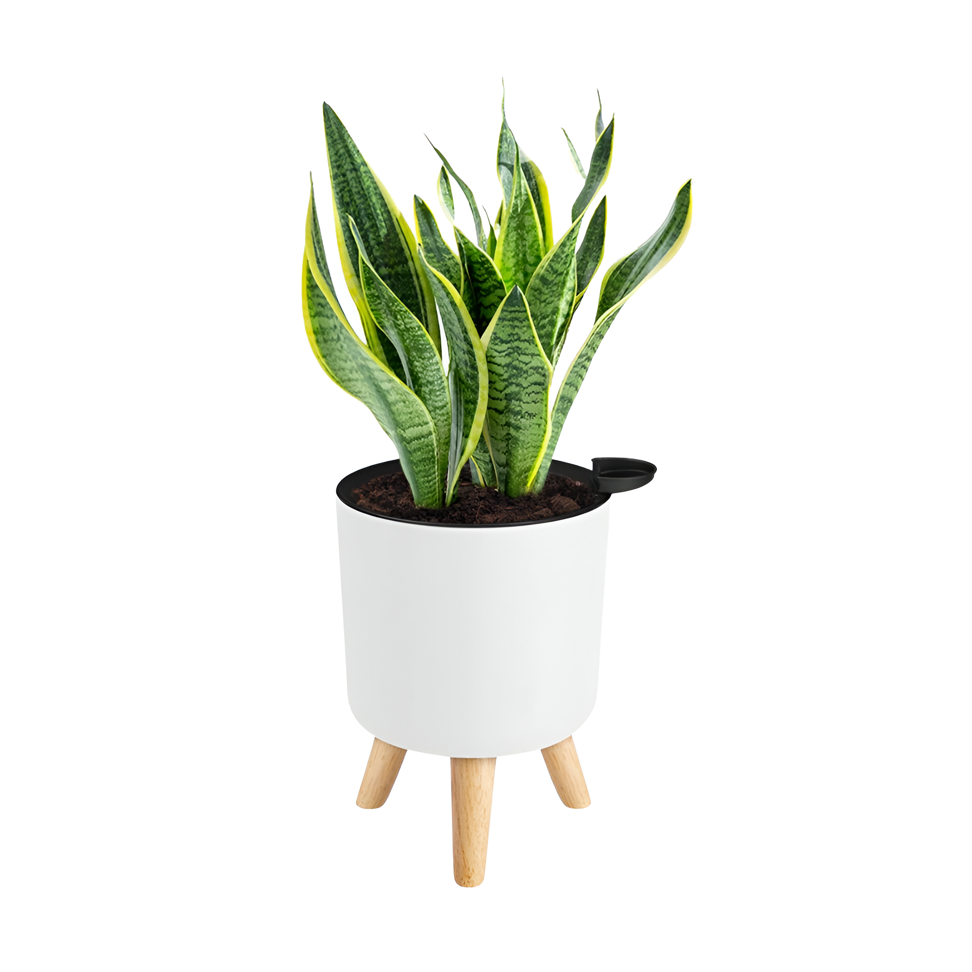 1pc Classic Round Self Watering Planter Plant Pot