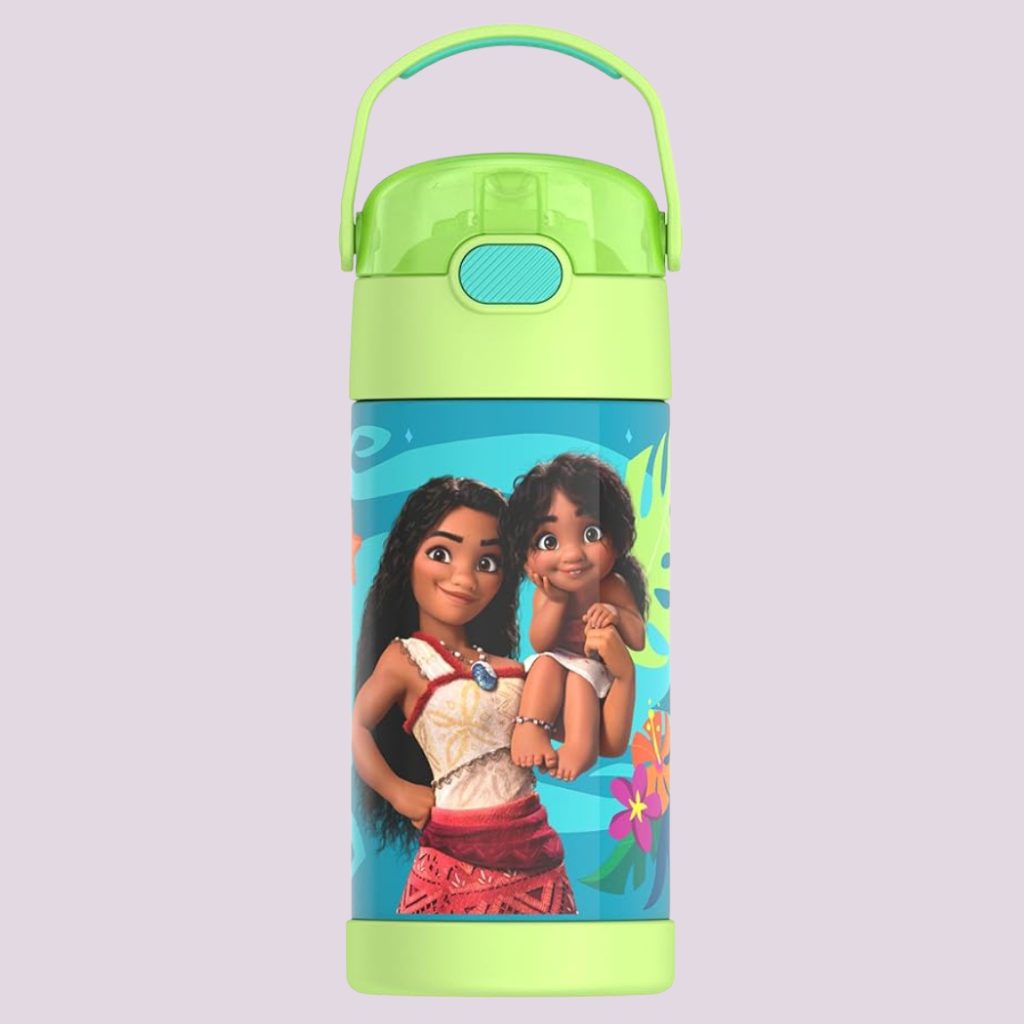 Kids Stainless Steel Vacuum Insulated Water Bottle with Straw