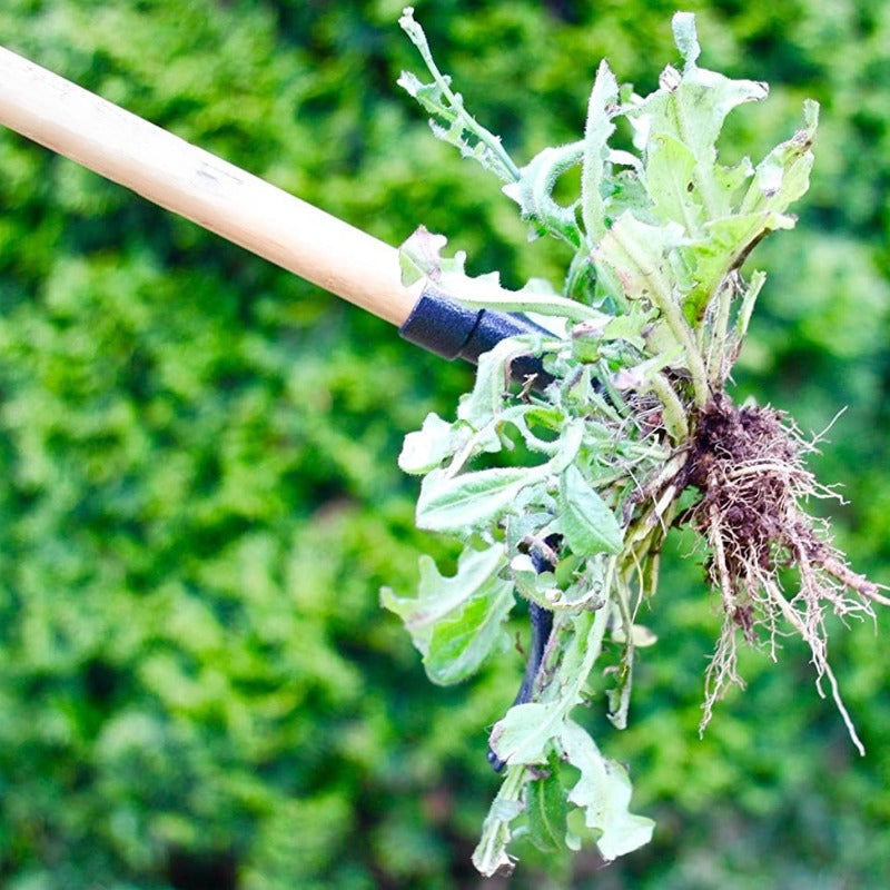 Stand Up Puller Tool With Long Handle - Made With Real Bamboo & 4-Claw Steel Head Design - Easily Remove Without Bending, Pulling, Or Kneeling - Grafton Collection