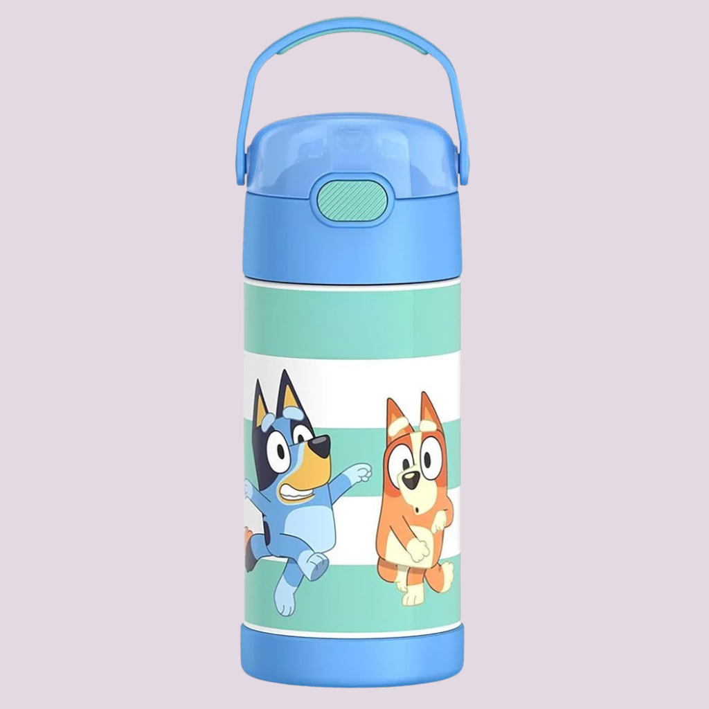 Kids Stainless Steel Vacuum Insulated Water Bottle with Straw