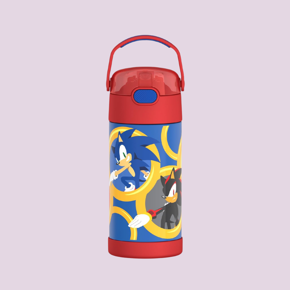 Kids Stainless Steel Vacuum Insulated Water Bottle with Straw
