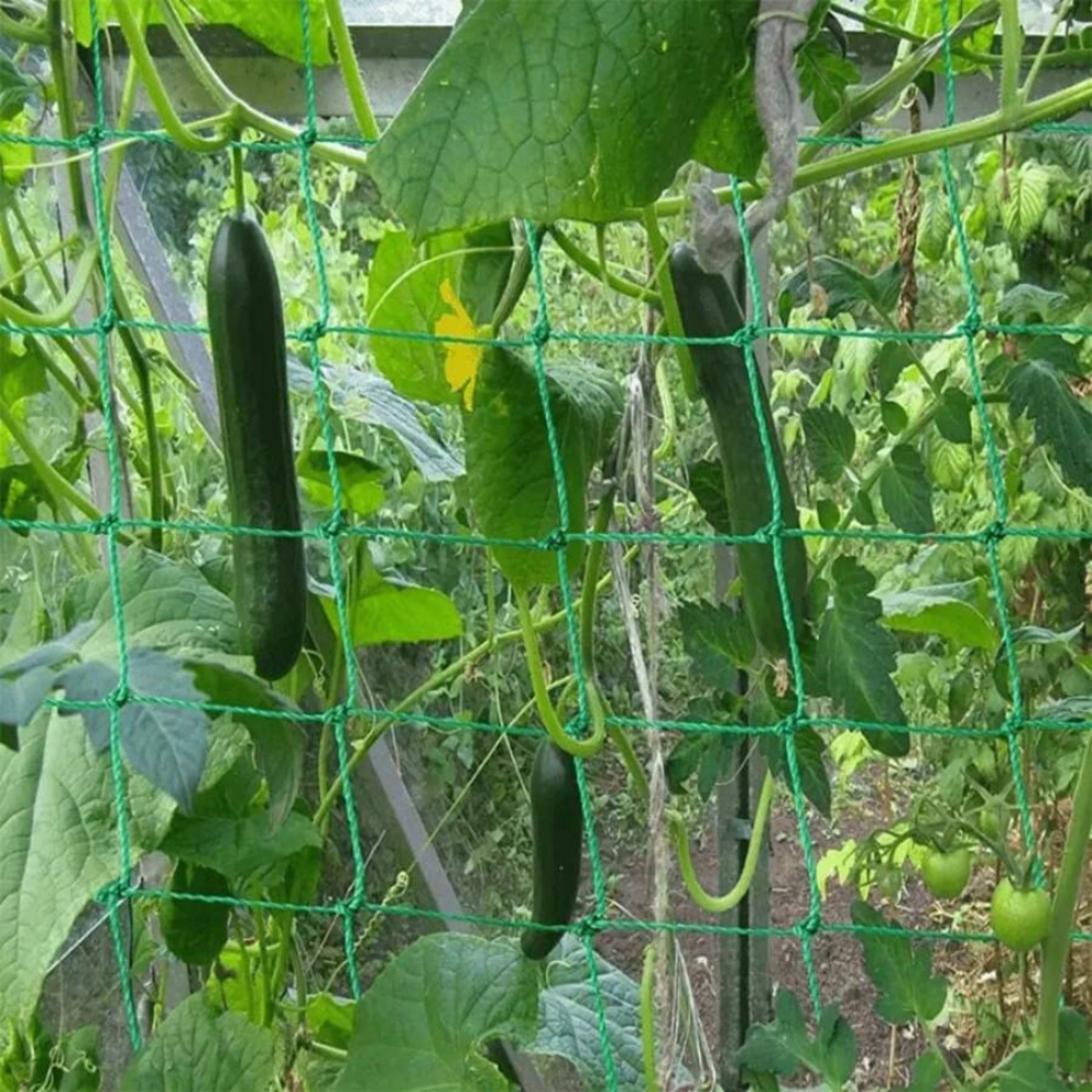 Square Grid Plant Climbing Net For Cucumber Growing In Garden