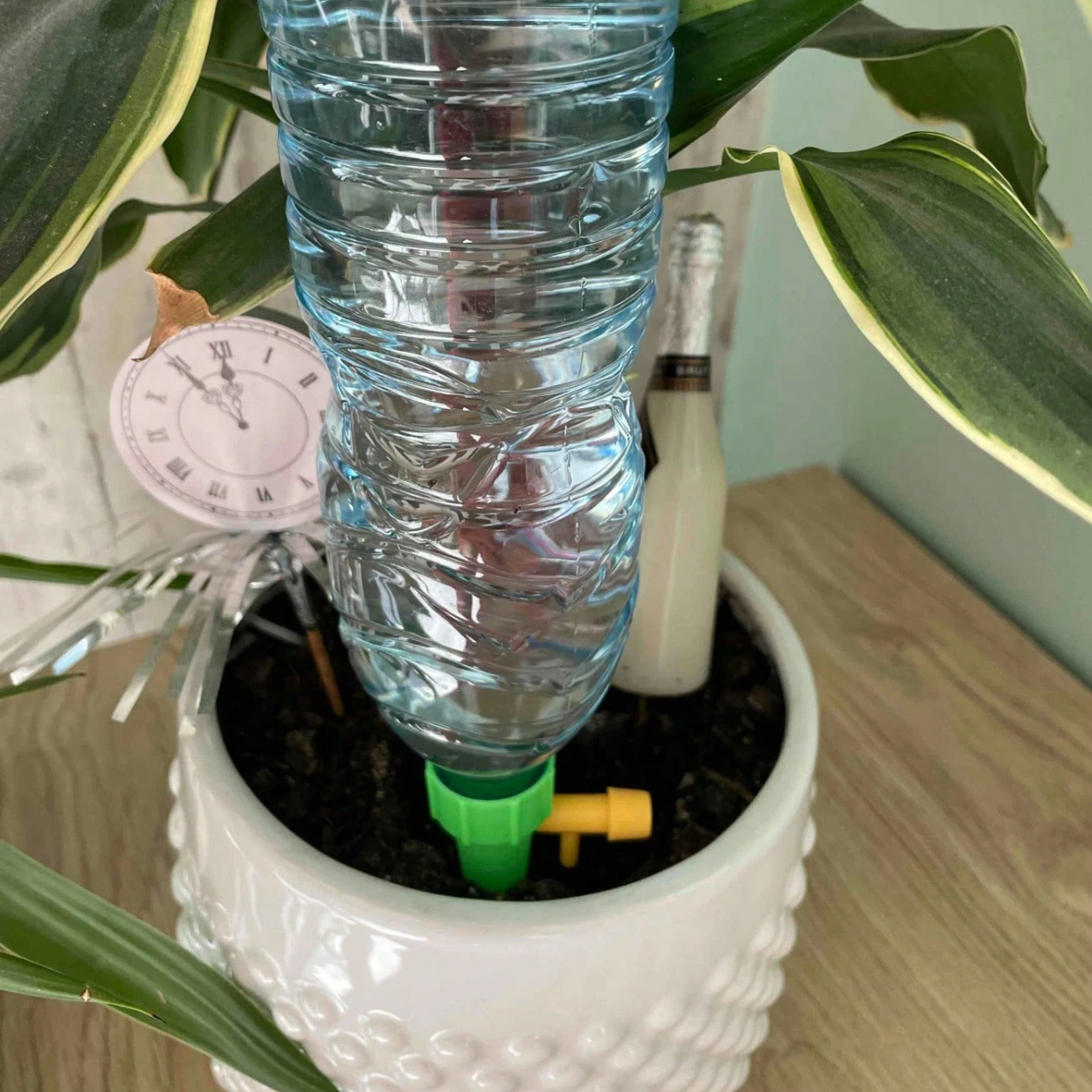 Automatic Drip Irrigator With Self Spray For Plant Watering