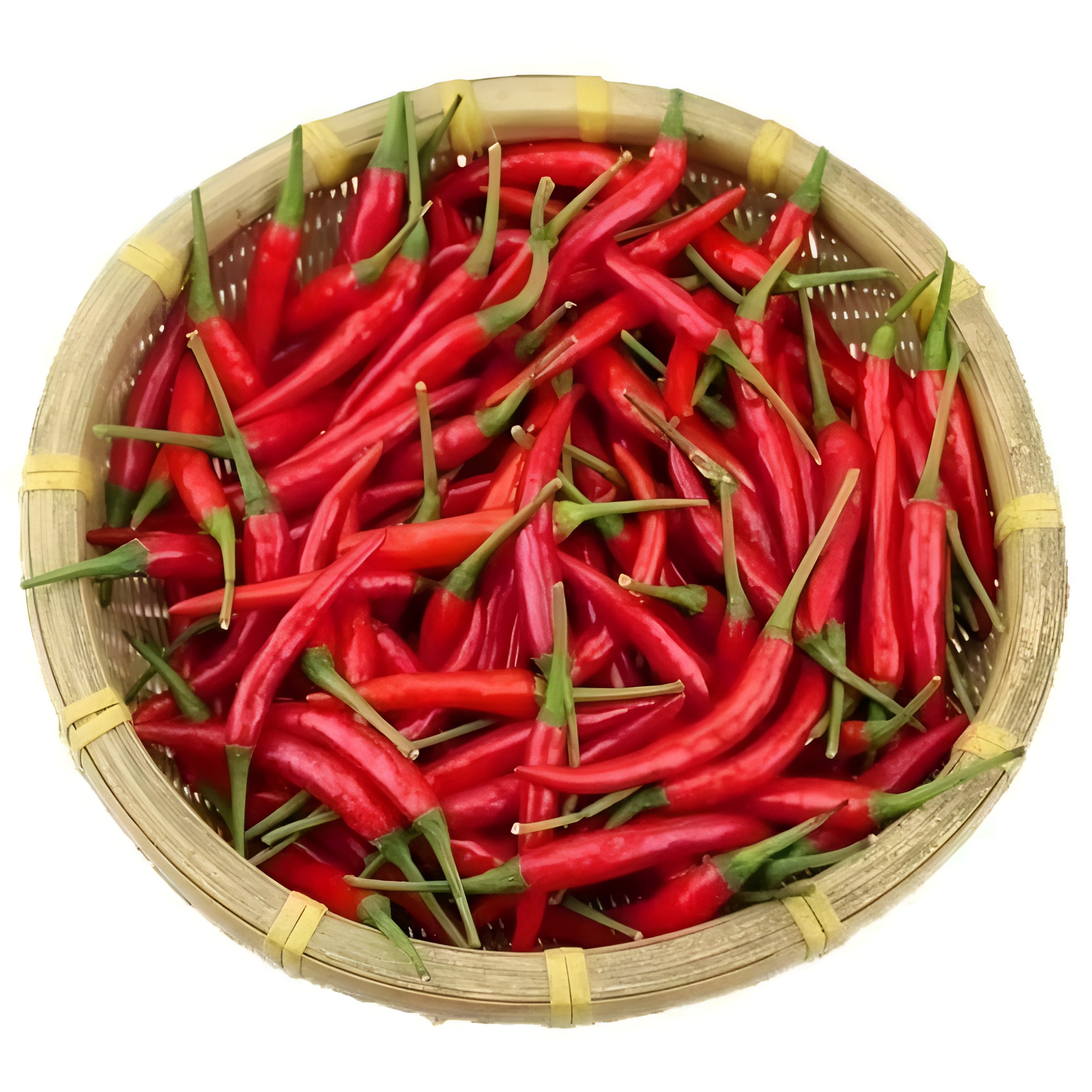 100 Chili Plants Seeds For Balcony Garden Sowing