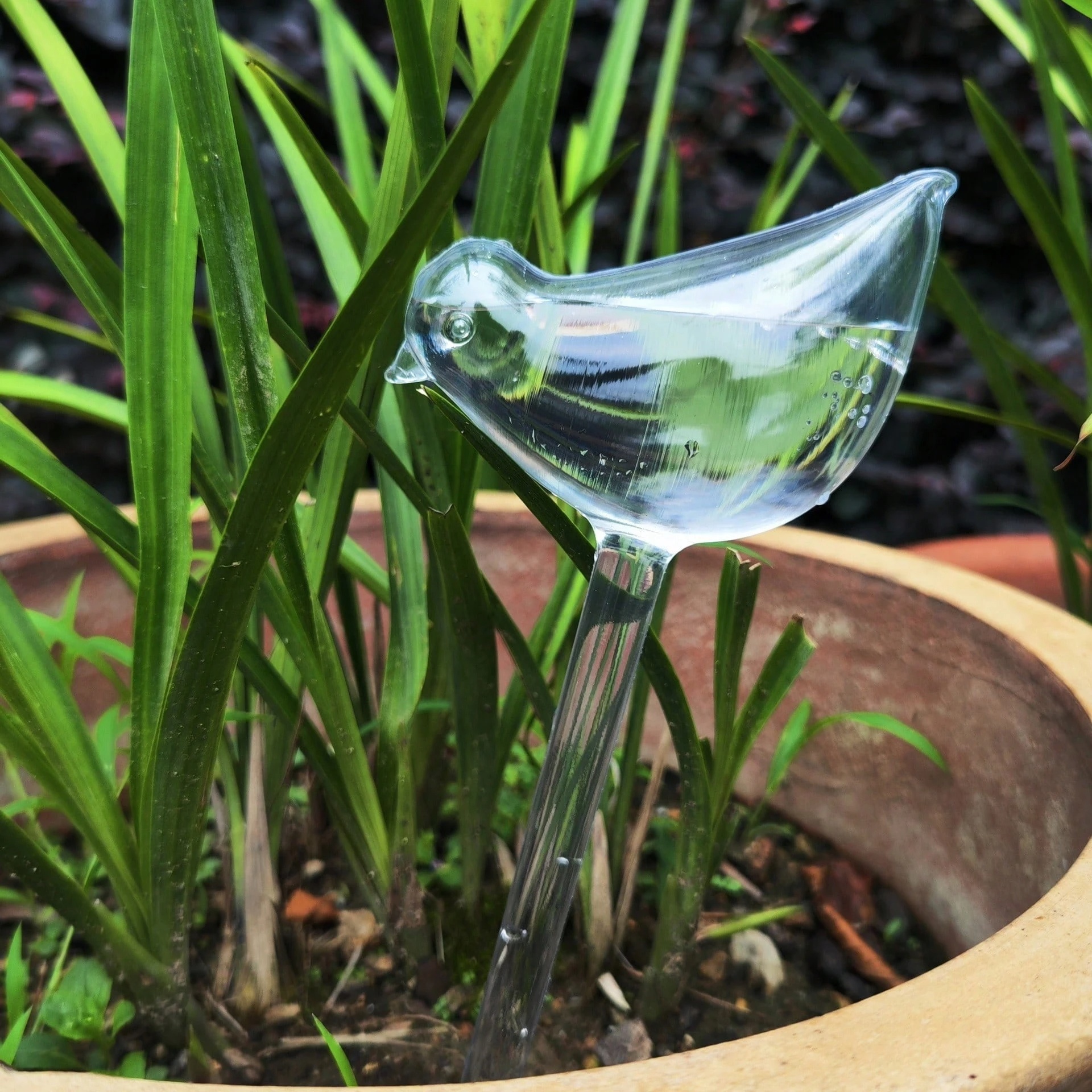 Bird Shaped Self Watering Globes For Potted Plants And Gardens