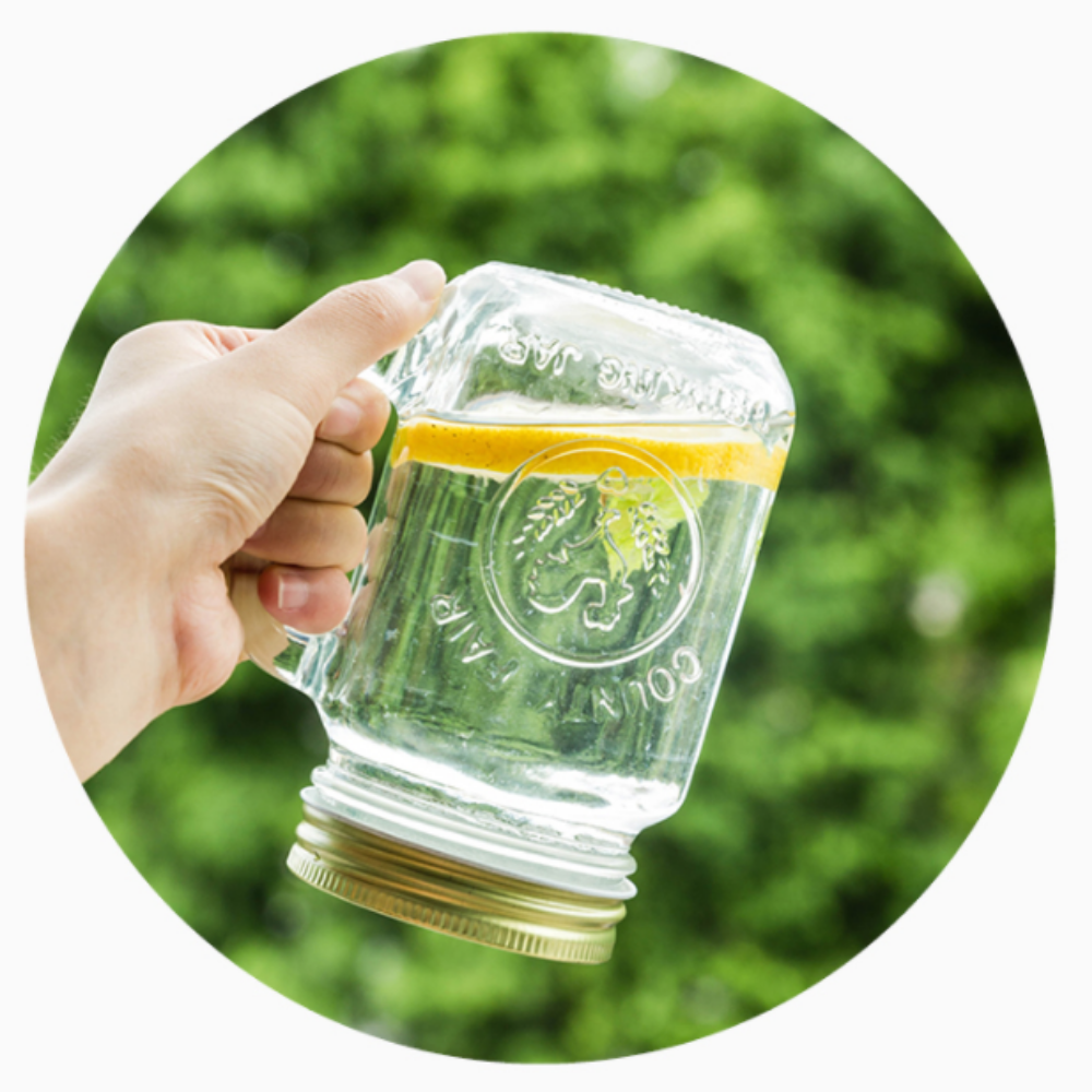 Glass Mason Jar With Cover & Handle - Grafton Collection