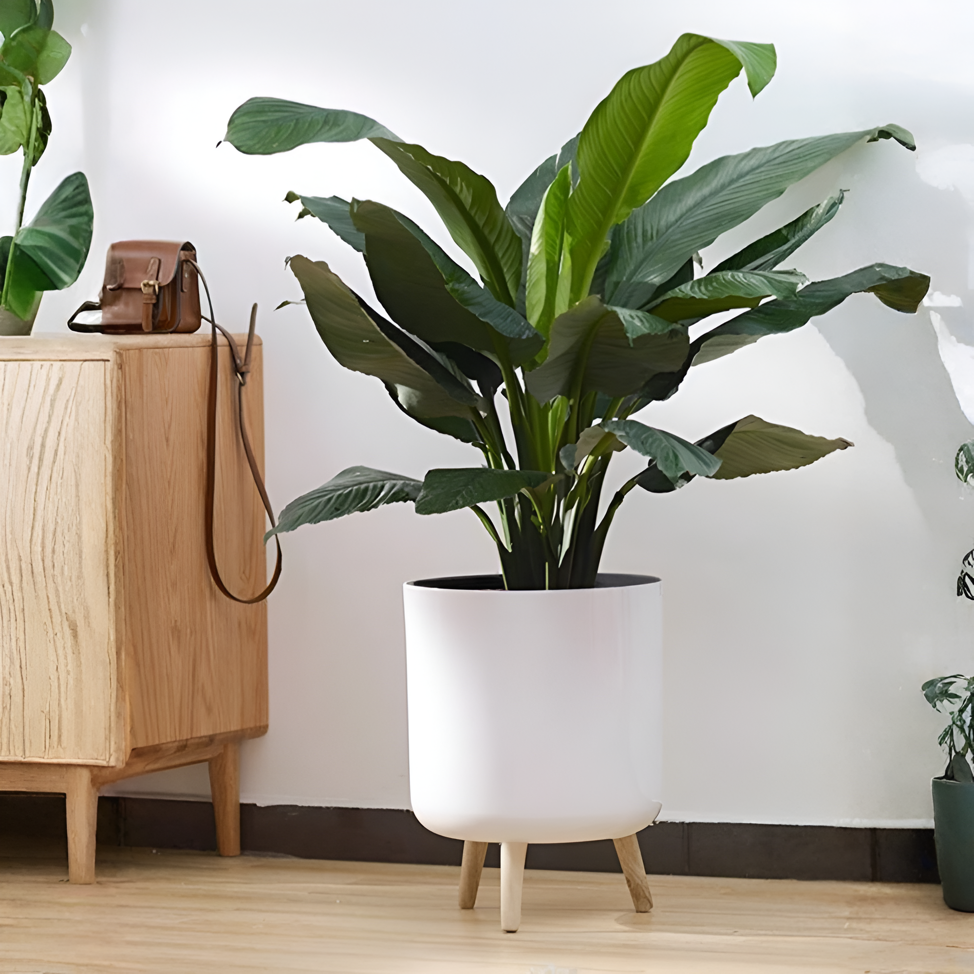1pc Classic Round Self Watering Planter Plant Pot