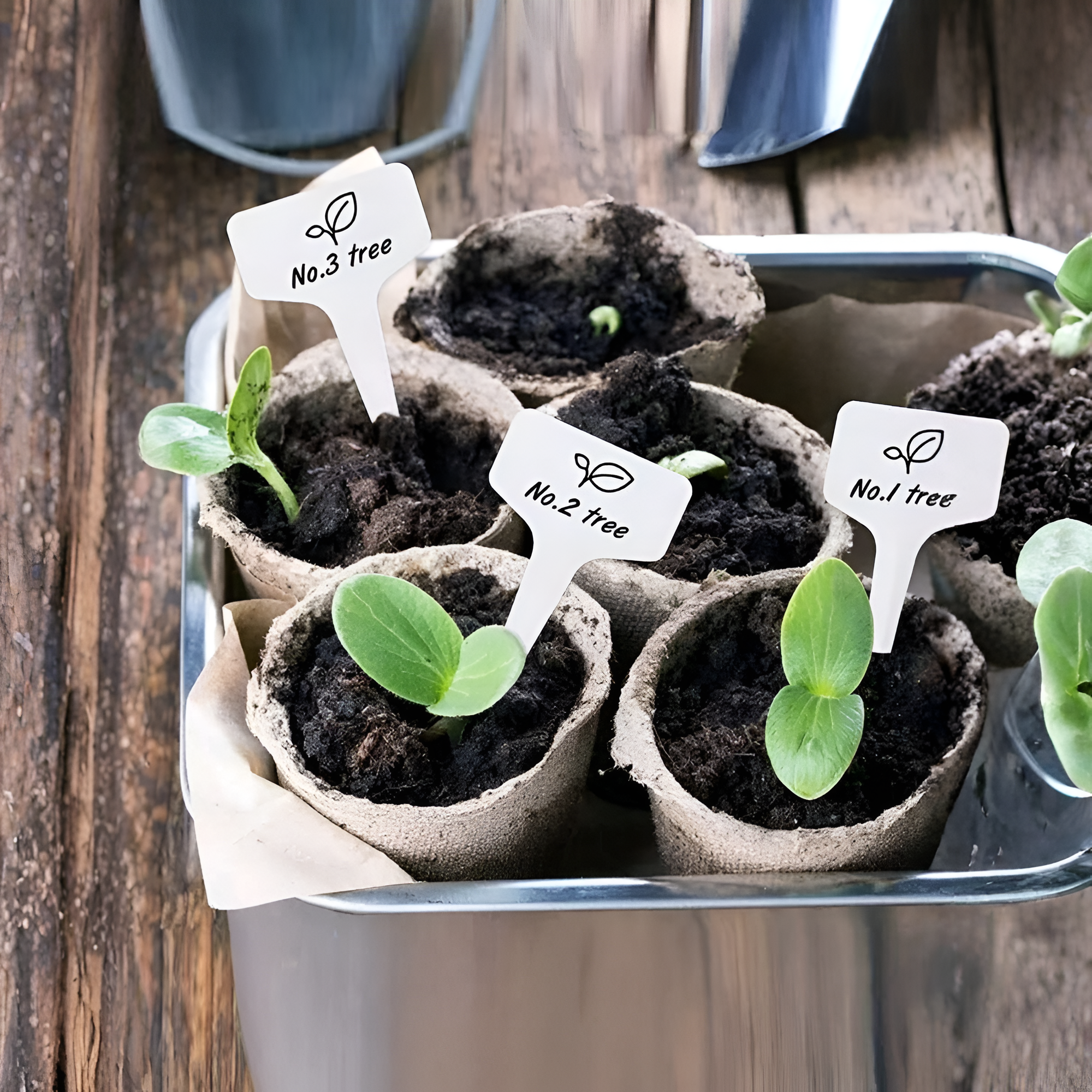 T Shape Plant Labels Waterproof Garden Signs For Potted Plants