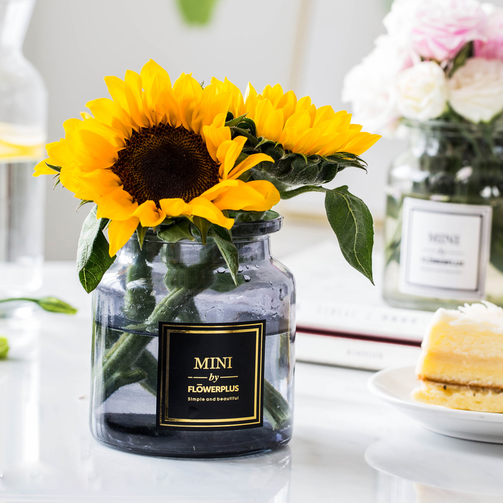 Candle Glass Vases - Grafton Collection