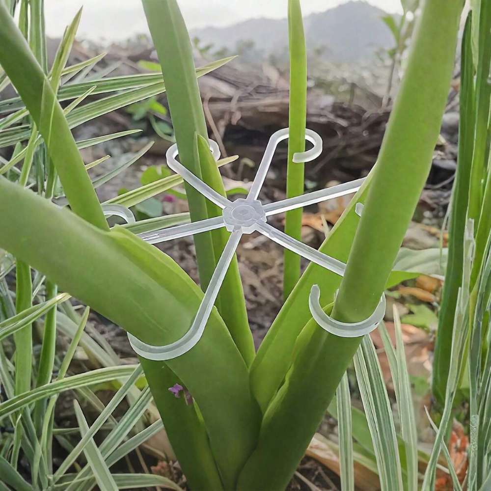 Sturdy Plastic Trellis Support Clips For Climbing Plants Indoor Outdoor Decoration