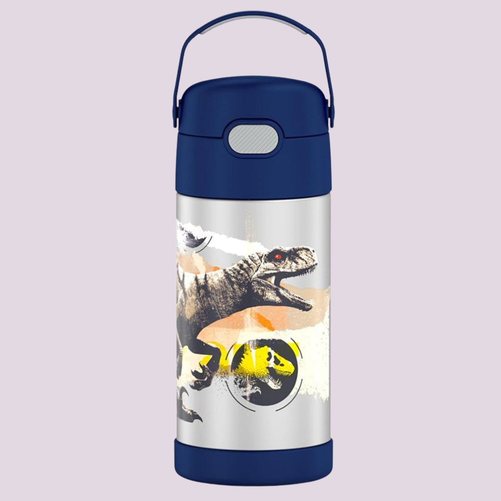 Kids Stainless Steel Vacuum Insulated Water Bottle with Straw