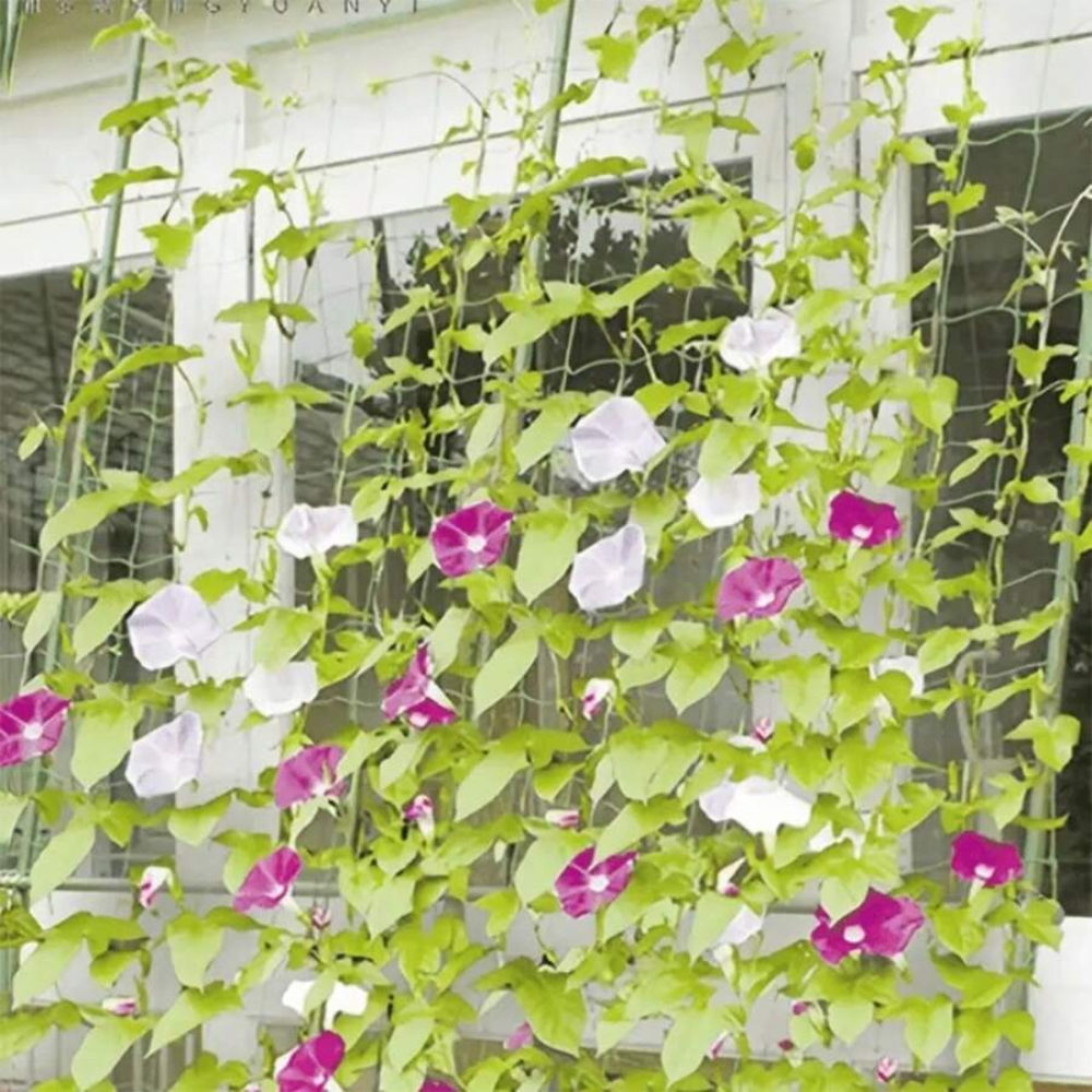 Square Grid Plant Climbing Net For Cucumber Growing In Garden