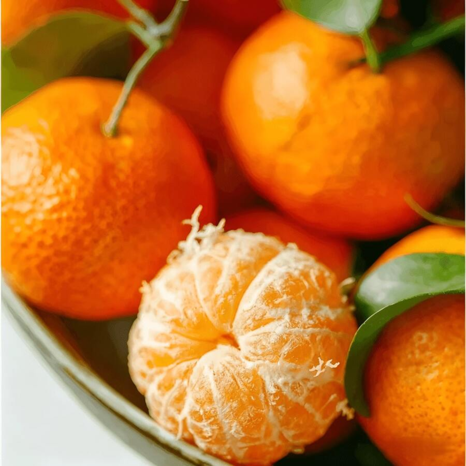 1215 Inch Sugary Mandarin Tree Seeds Easy Care Fast Growing Citrus